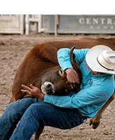 Steer Wrestling