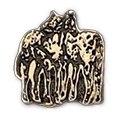 Appaloosa Horses
