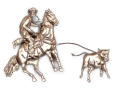 Calf roper