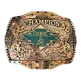 Rodeo champion style
