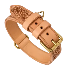 Dog Collars
